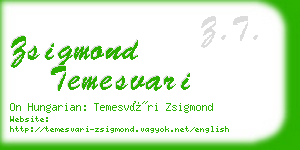 zsigmond temesvari business card